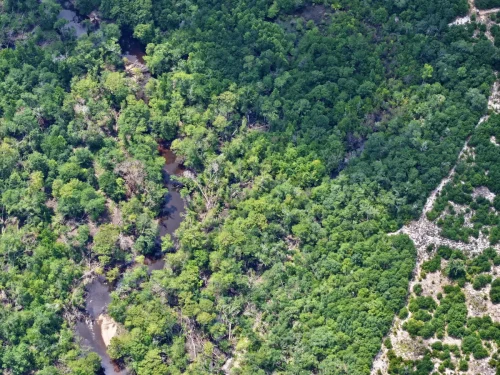 Photo-Jul-21-2025-11-41-37-PM