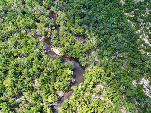 Photo-Jul-21-2025-11-42-49-PM